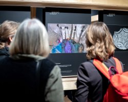 Mechorost jako predátor. Výstava Věda fotogenická ukazuje krásy vědy i humor